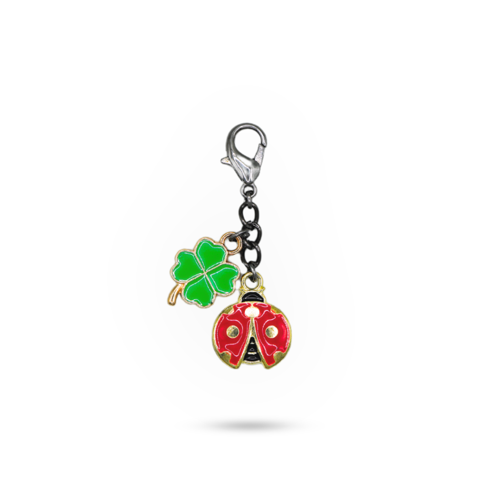 Shoe charm lucky charm 1 piece